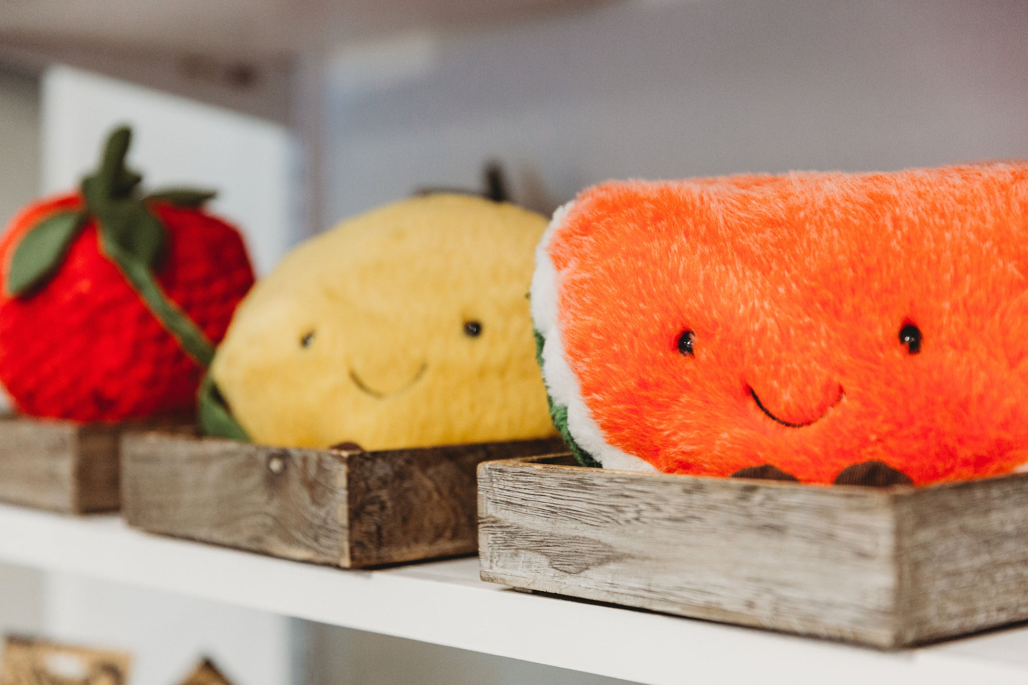 Plush Friends