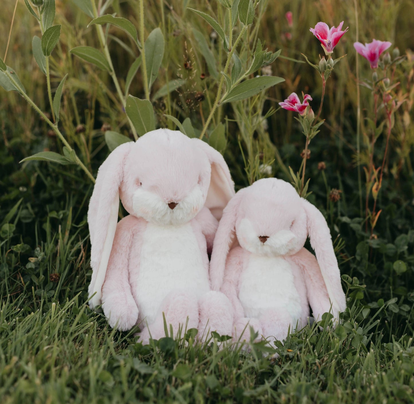 Sweet 16" Nibble Bunny | Pink (Personalization Included)