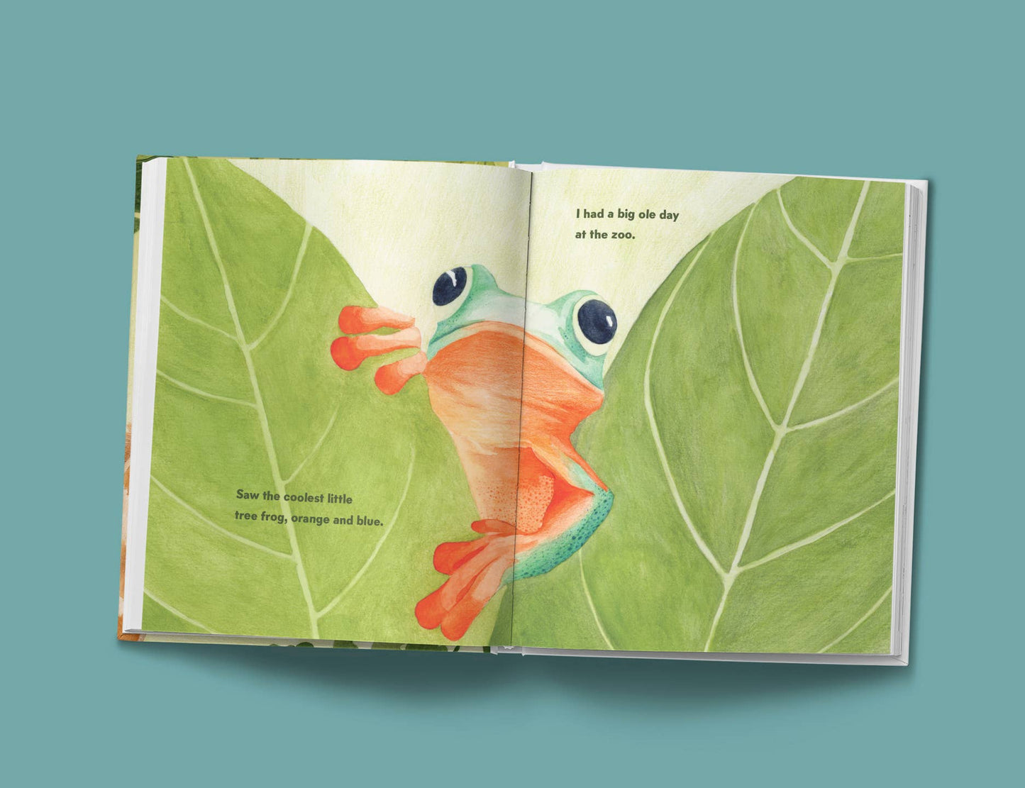 Big Ole Day at the Zoo Singalong Book