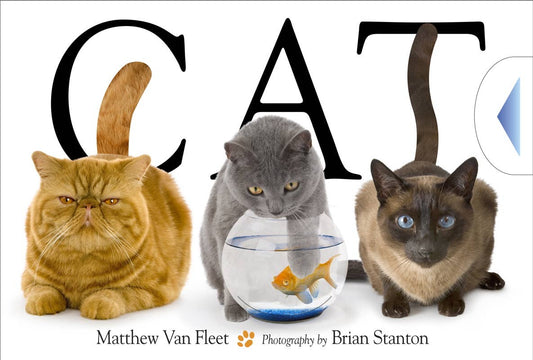 Cat by Matthew Van Fleet