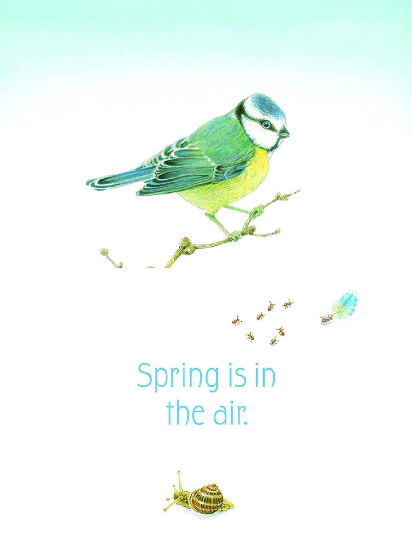 In the Garden Board Book