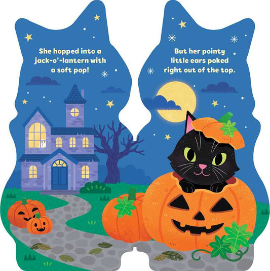 Little Cat by Maggie Fischer Board Book