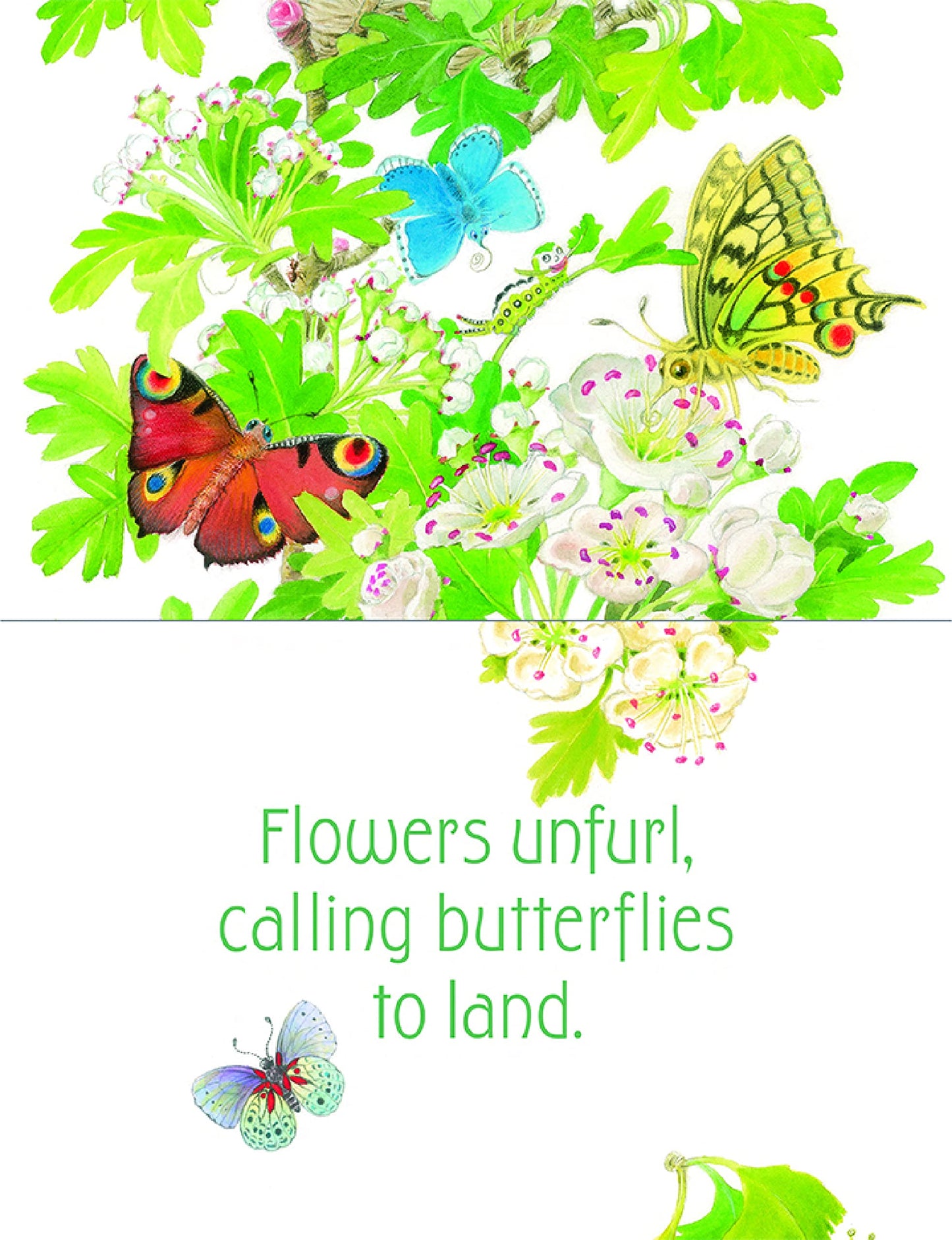 In the Garden Board Book