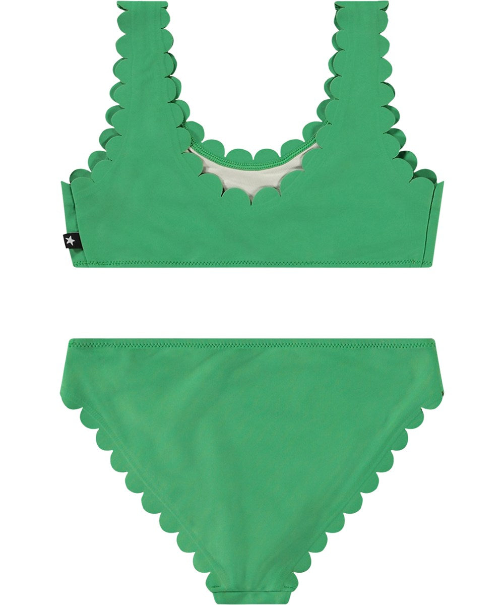 Nolina Scalloped Two-Piece | Garden Green