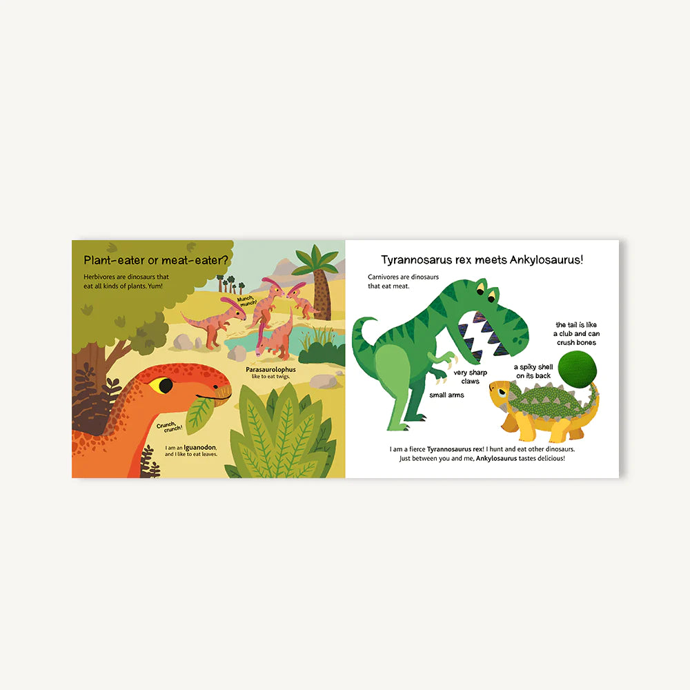 Touch and Explore : Dinosaurs