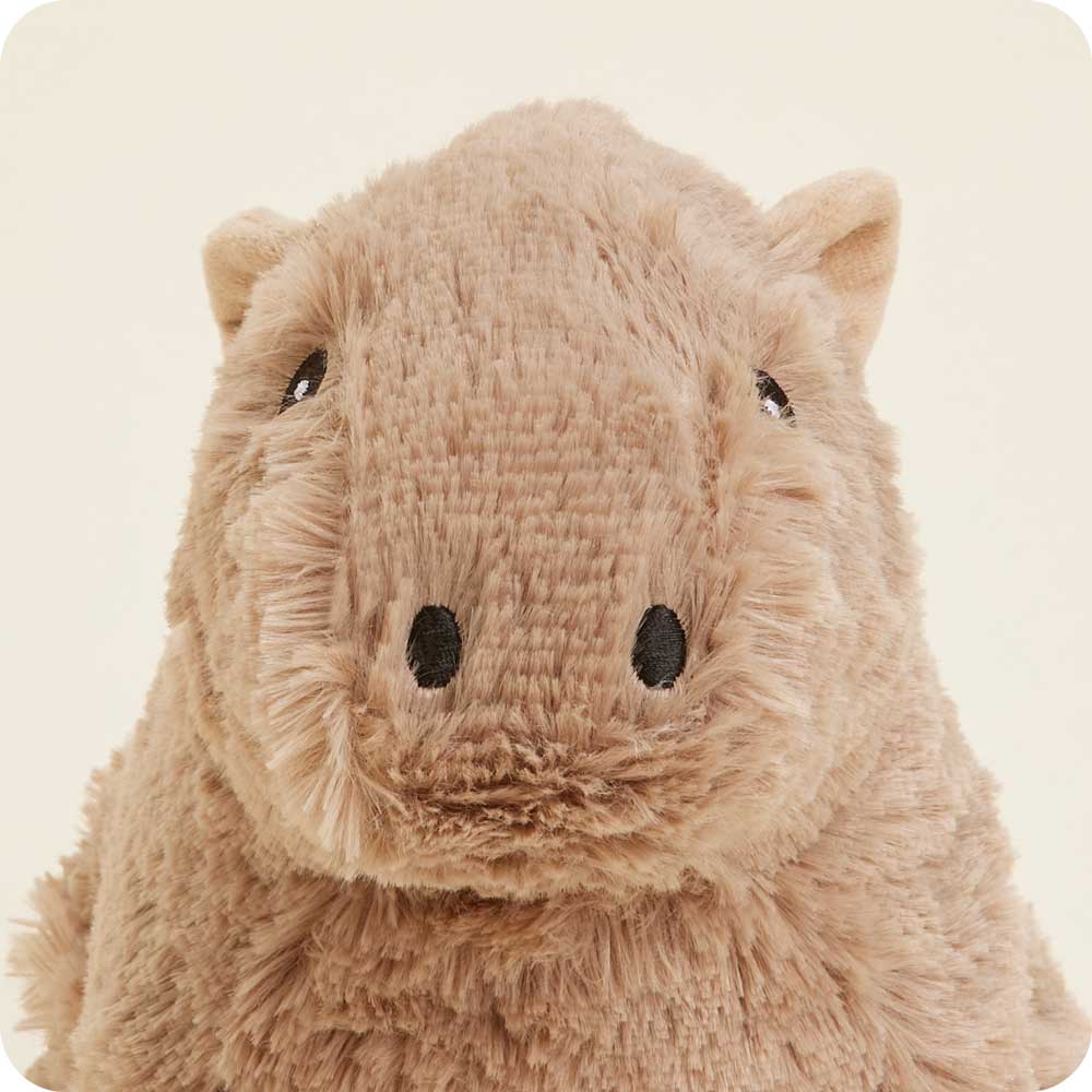 Warmies | Capybara