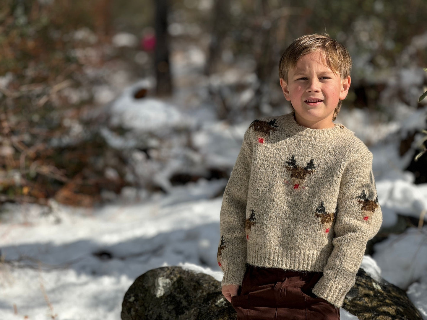 Rudy Sweater | Beige Reindeer