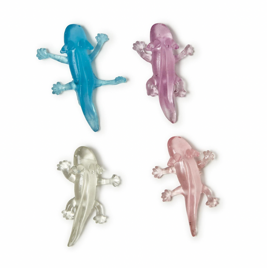 Translucent Axolotl in Gift Box
