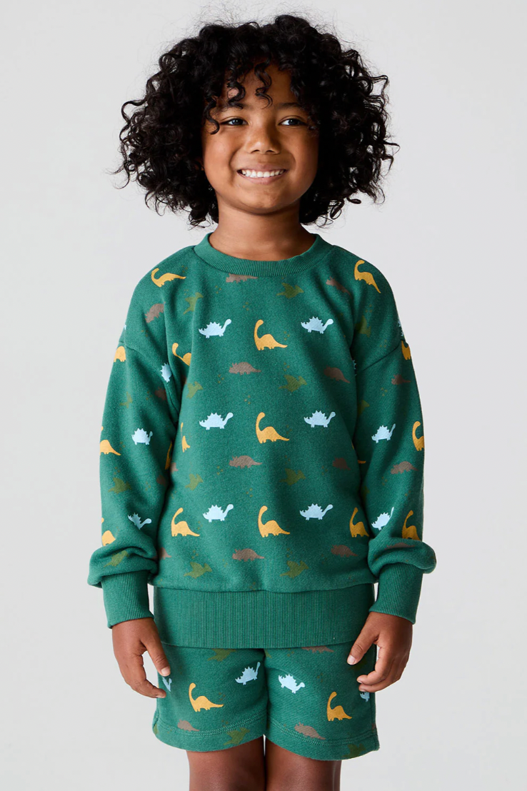 Dino Party Pullover