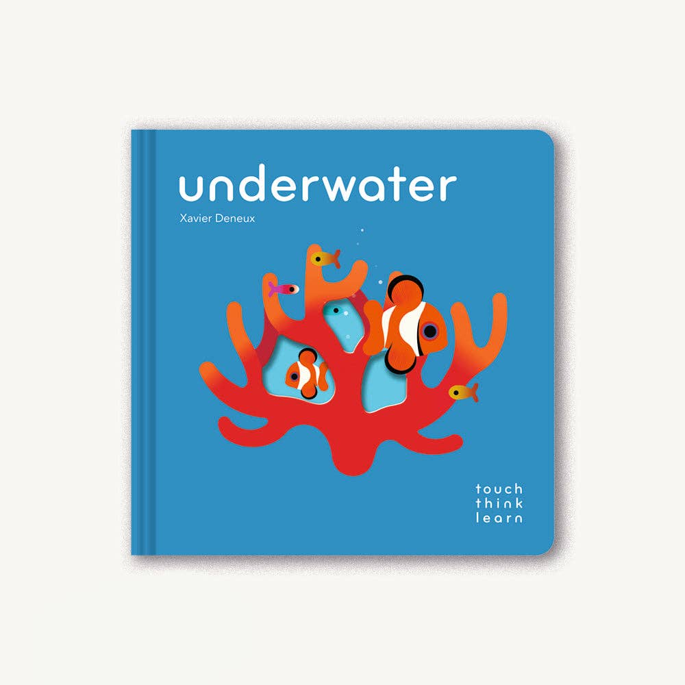 Touch Think Learn: Underwater