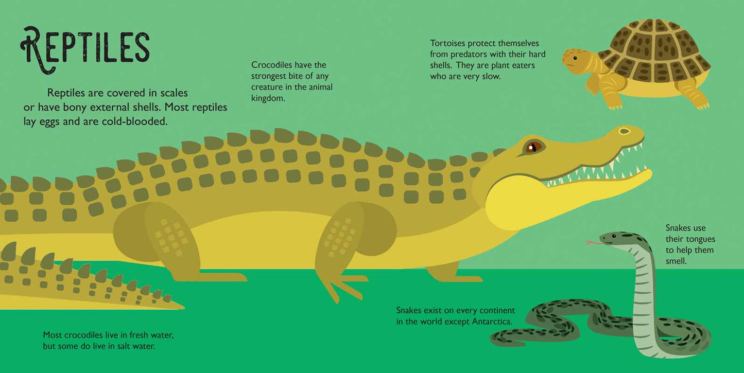 Panoramic Pop-Ups: Wild Animals