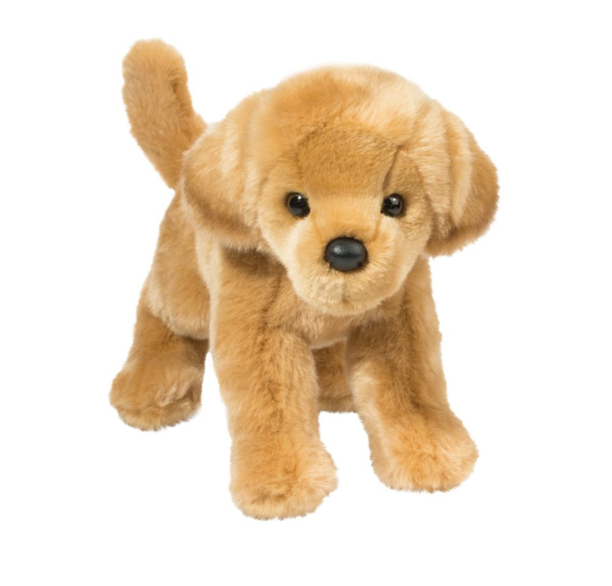 Sandi Golden Retriever