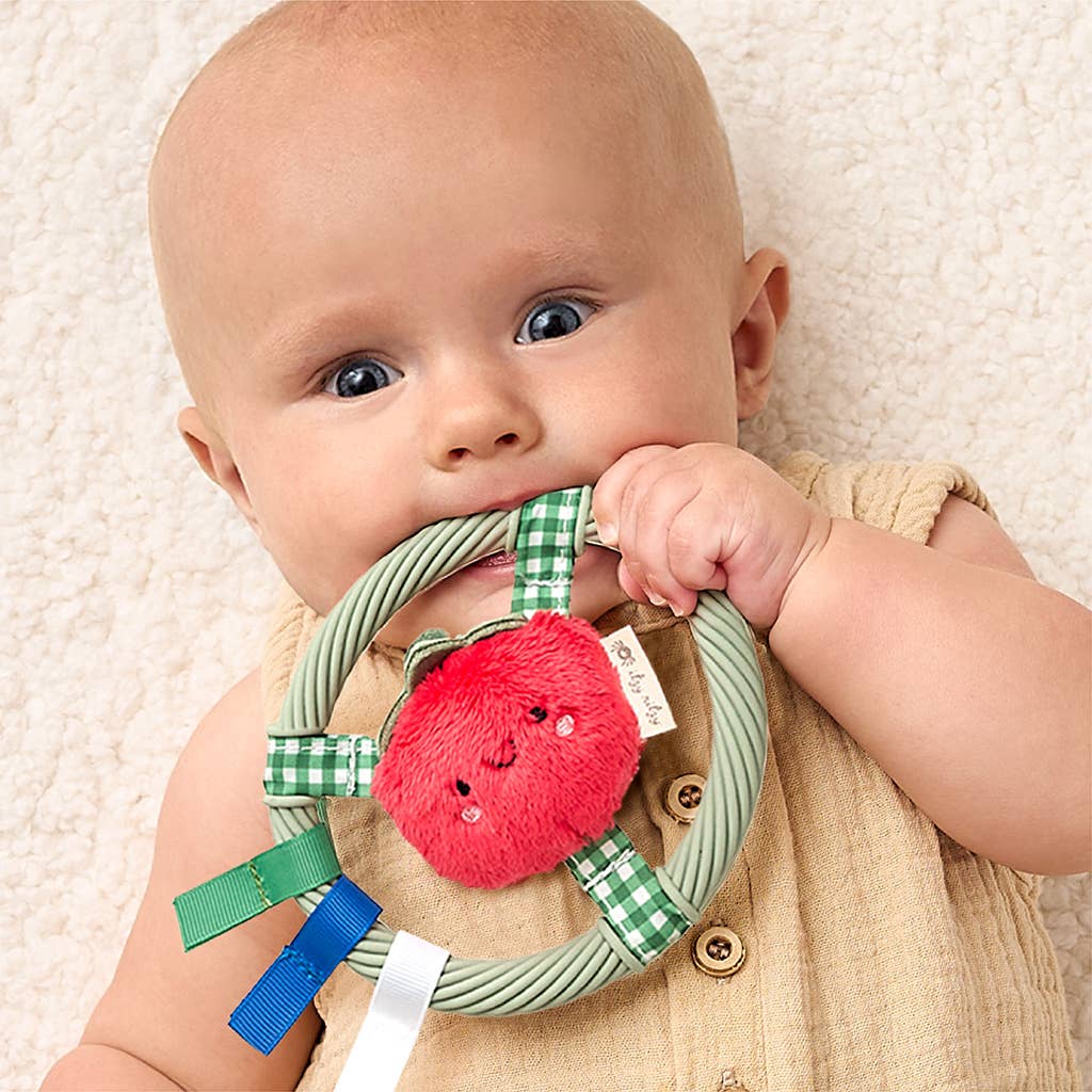 Ring Pal™  | Teething Ring with Plush Character