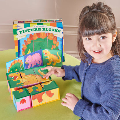 Dinosaur Picture Blocks