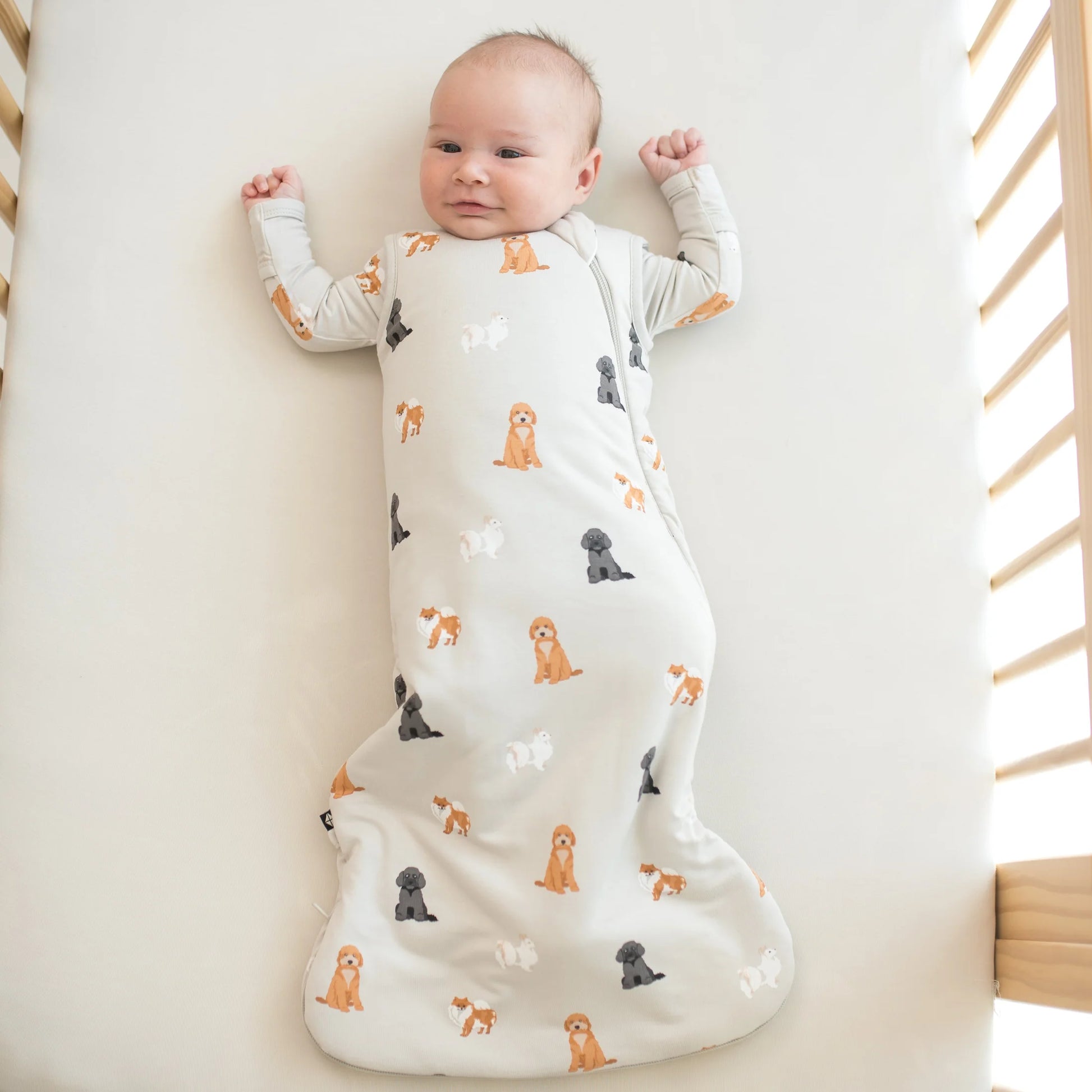 Sleep Bag | Fluffy Dog