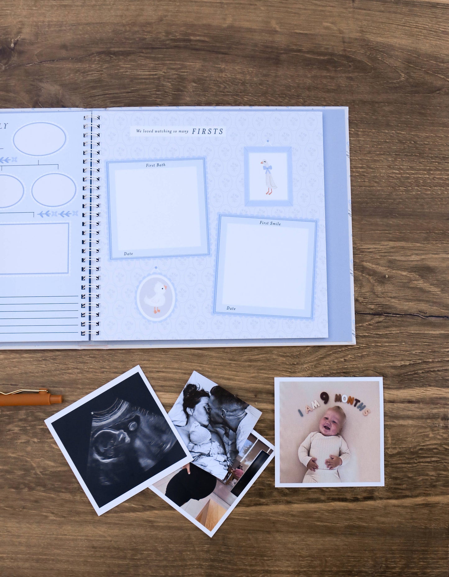 Little Goose Baby Memory Book