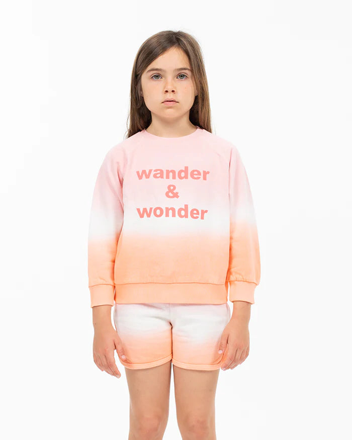 Ombre Sweatshirt | Punch