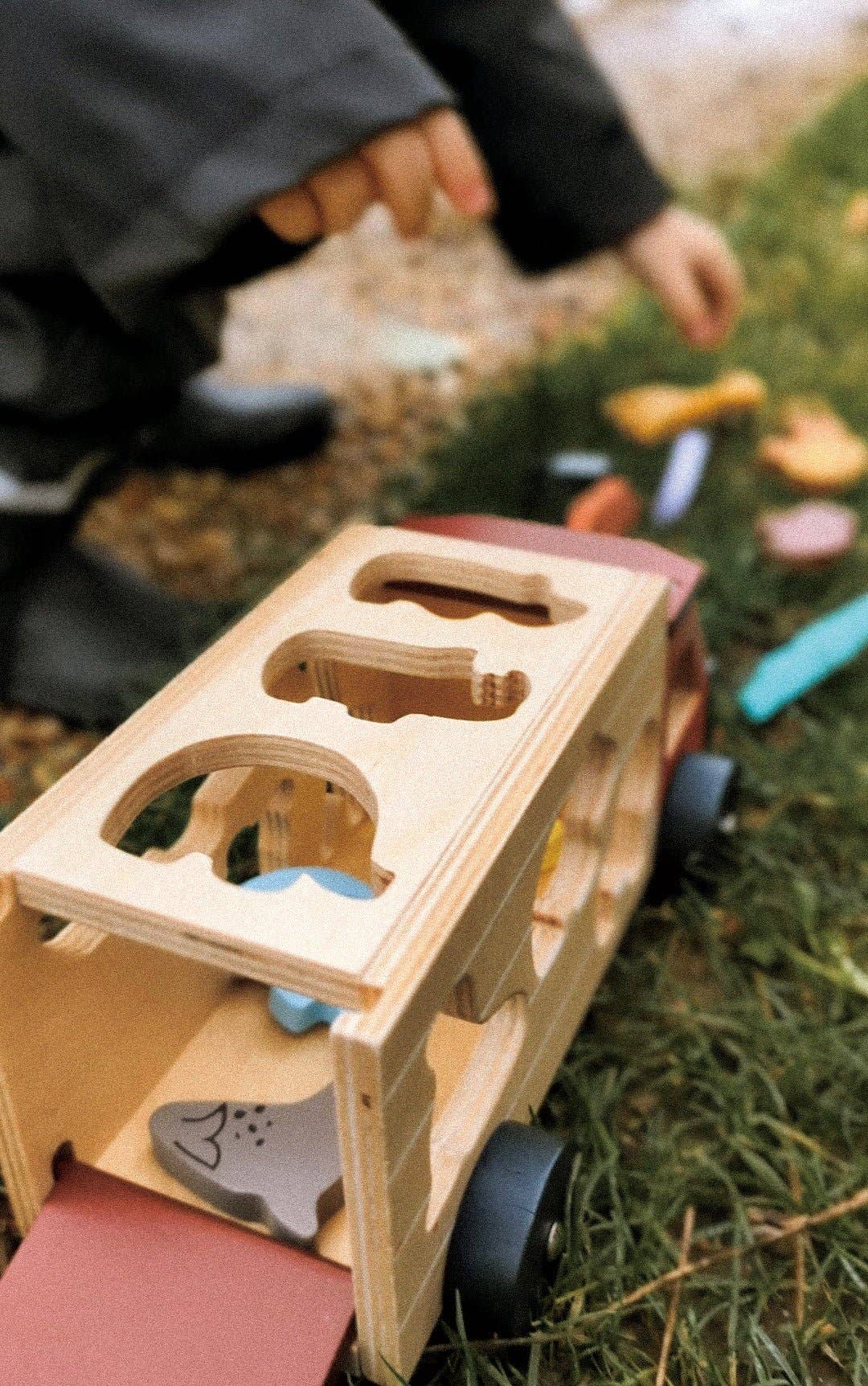 Shape Sorting Safari Truck