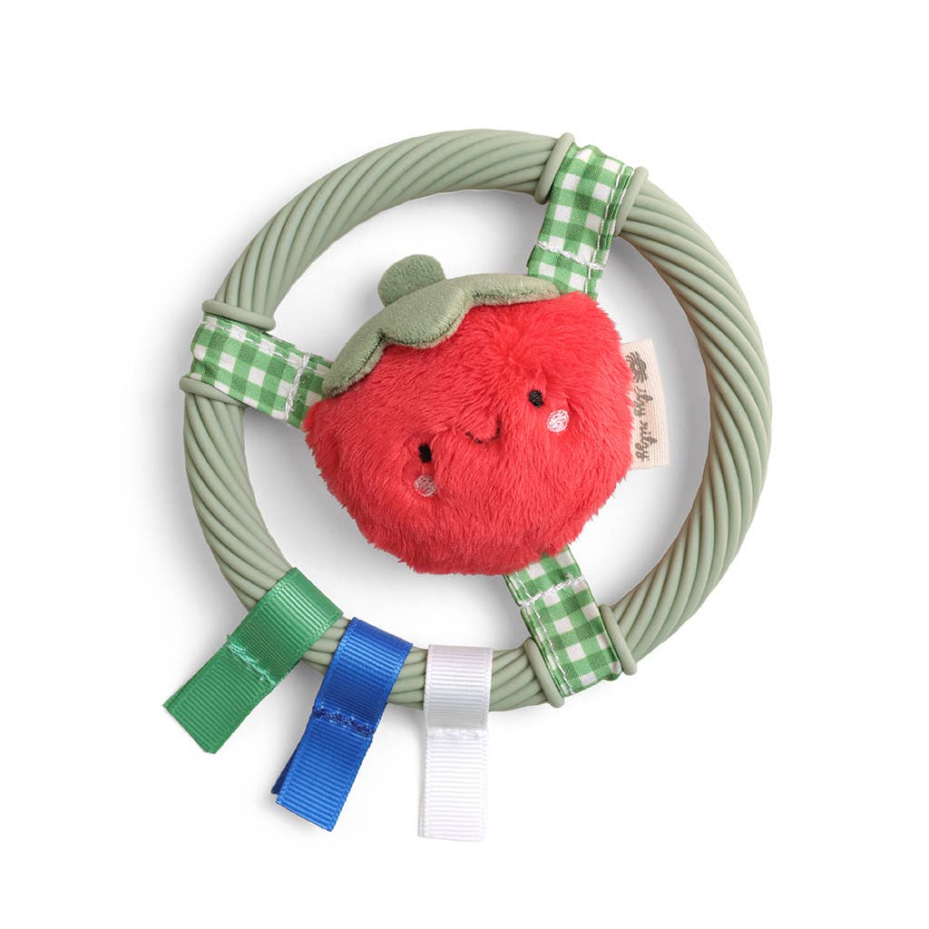 Ring Pal™  | Teething Ring with Plush Character
