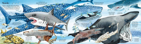 Big Book of Big Sea Creatures