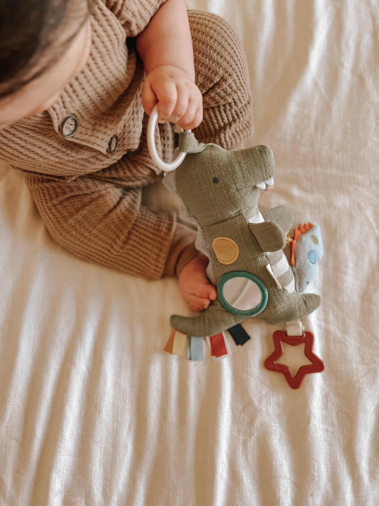 Bitzy Traveler | Mushroom