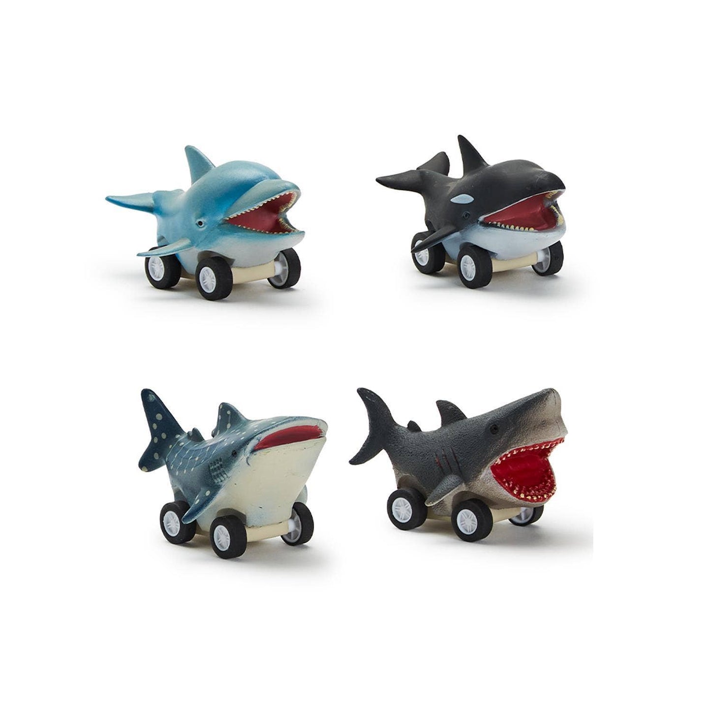 Fish Pull Back Toy | Assorted