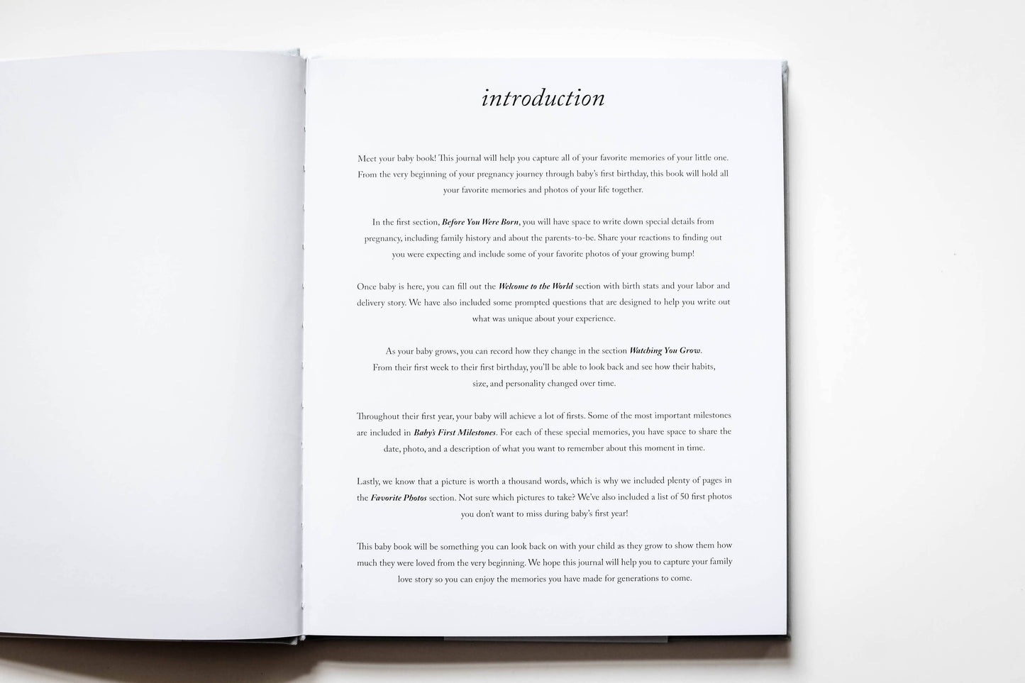 Baby's First Year Memory Book & Photo Album |  Dusty Rose