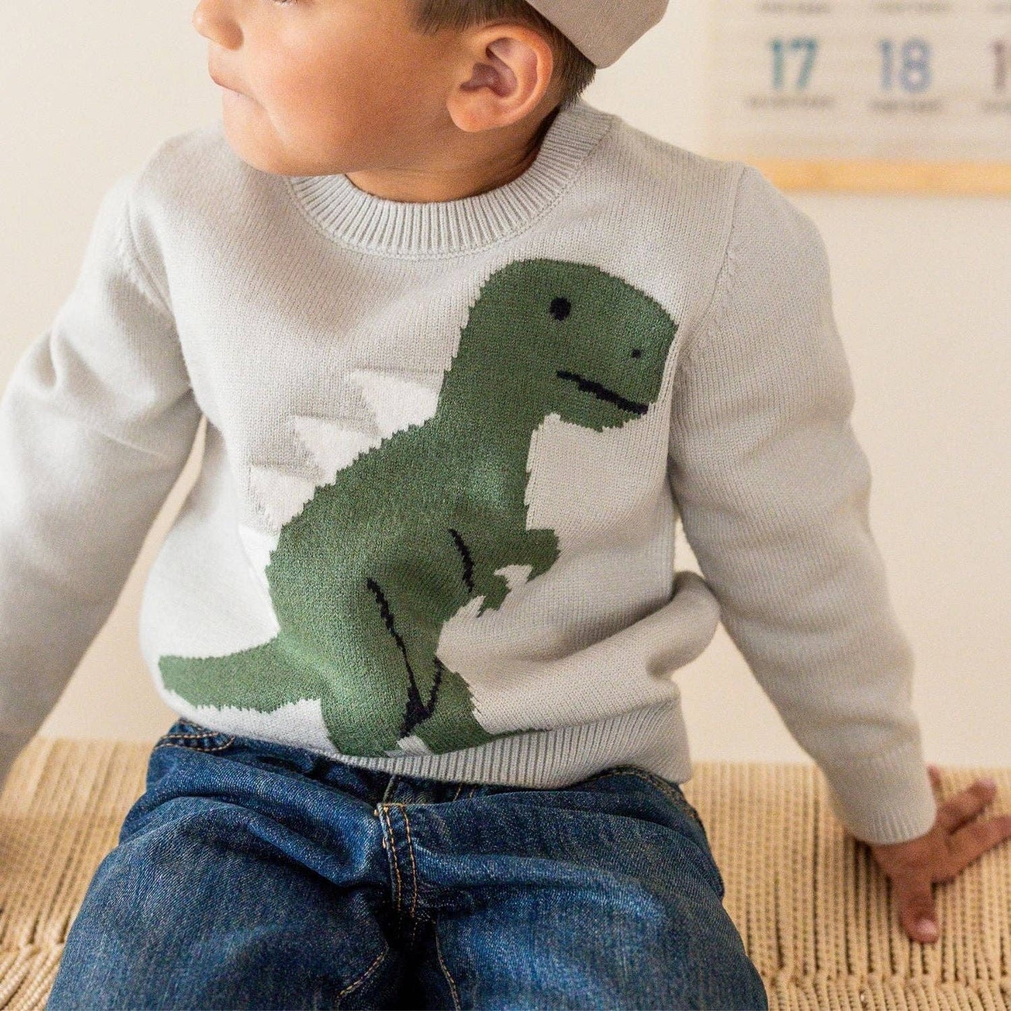 Dinosaur Sweater - Boys Clothing - Fall/Winter