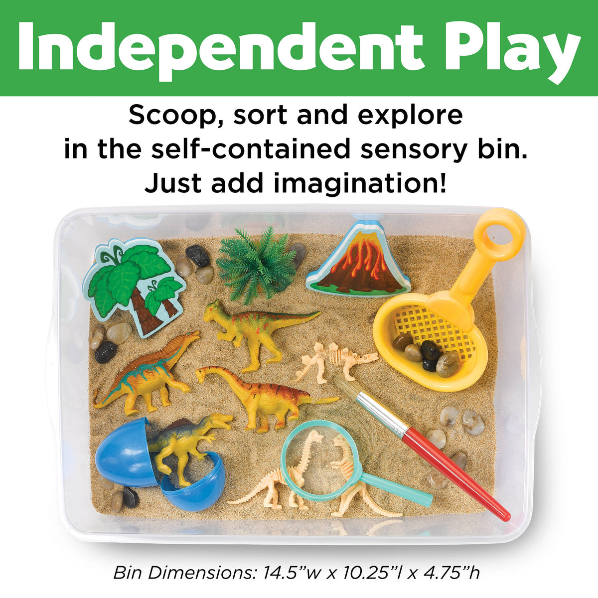 Sensory Bin | Dinosaur Dig