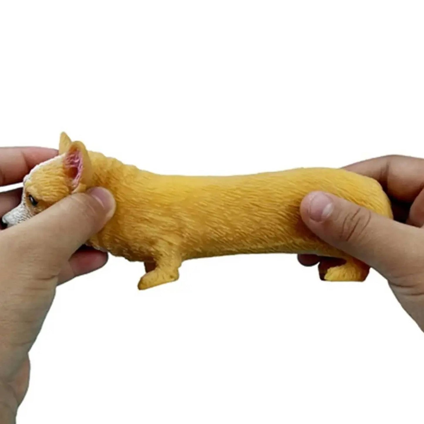 Corgi Stress Fidget Toy