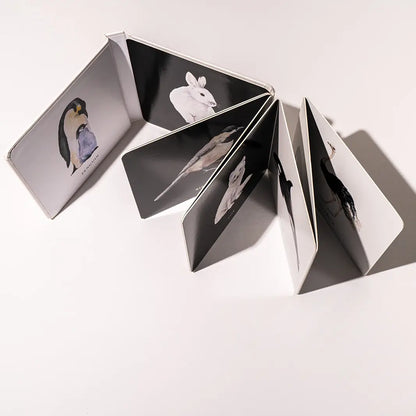 Baby's Black and White Contrast Book