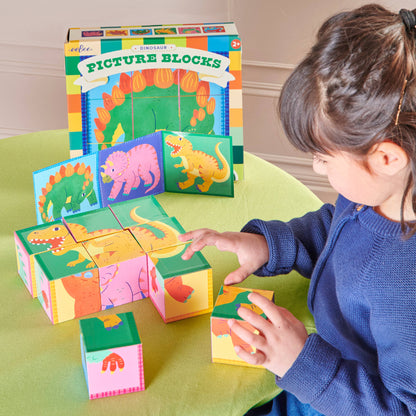 Dinosaur Picture Blocks