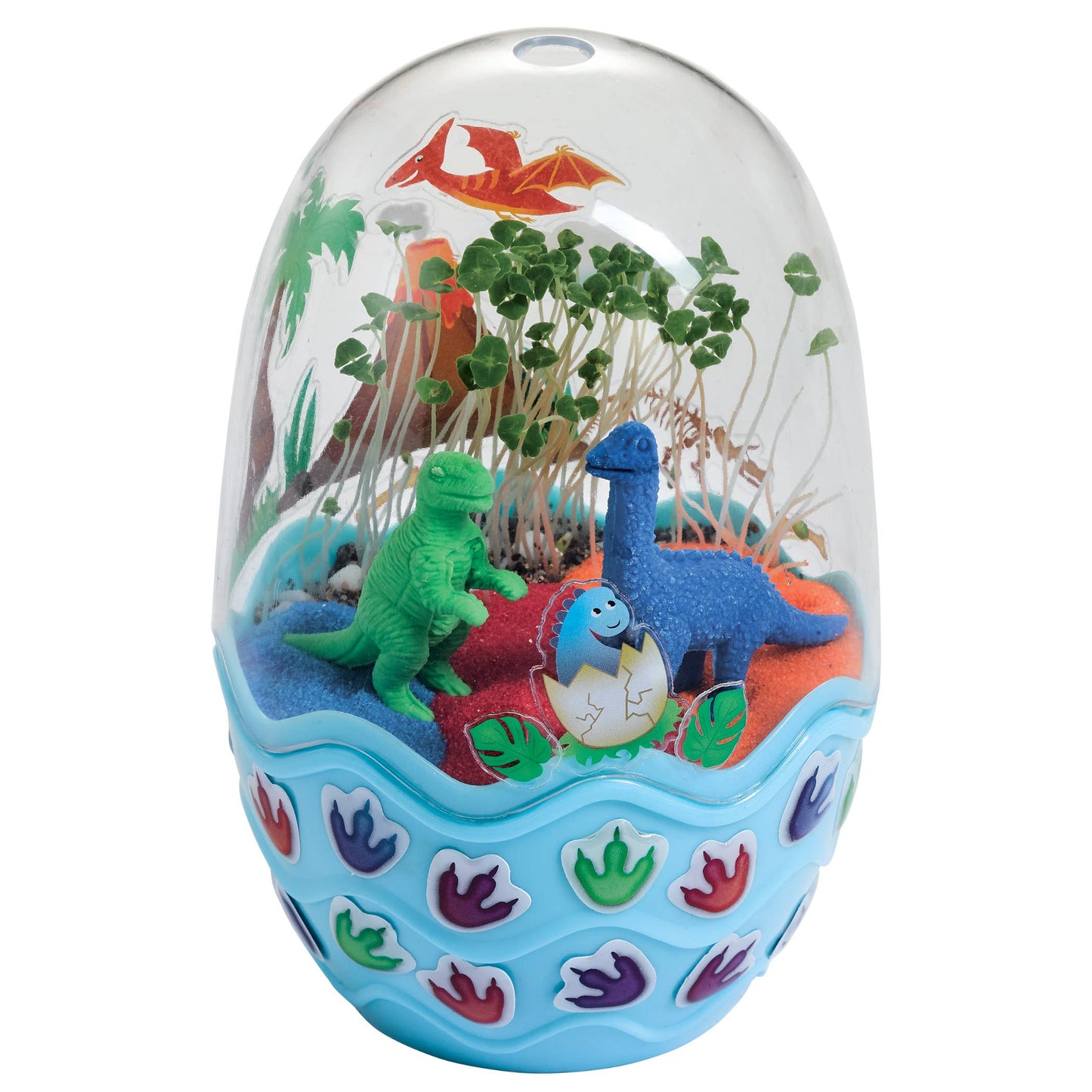 Grow a Mini Garden | Dinosaur