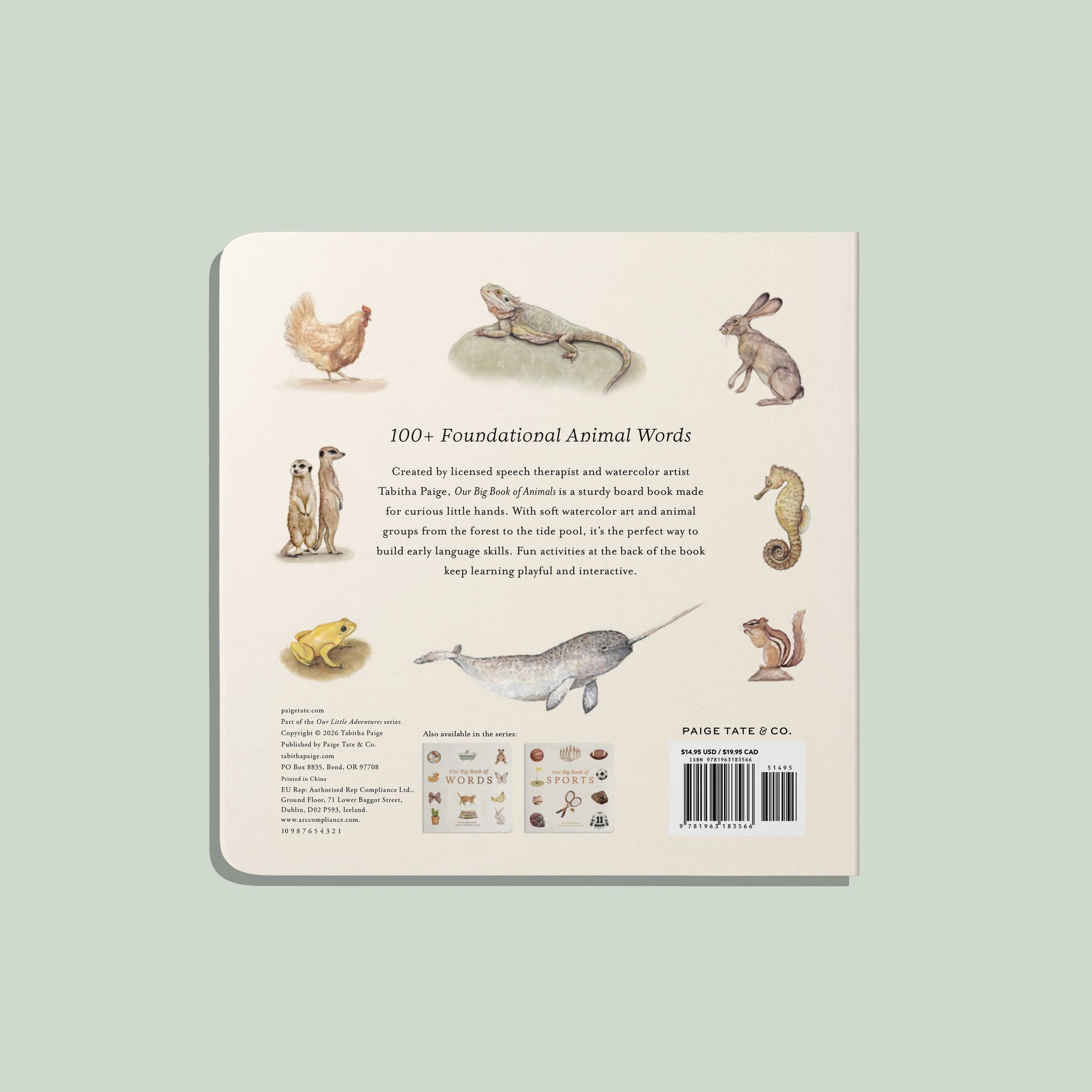 Our Big Book of Animals | Board Book