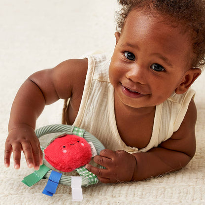 Ring Pal™  | Teething Ring with Plush Character