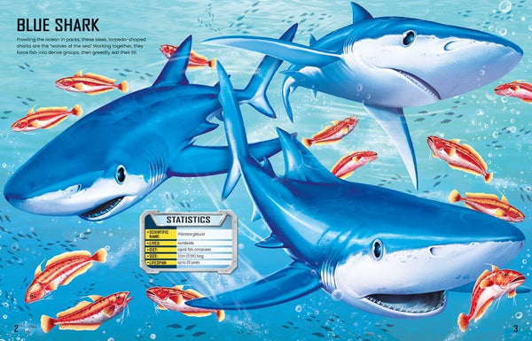 Build Your Own Sharks