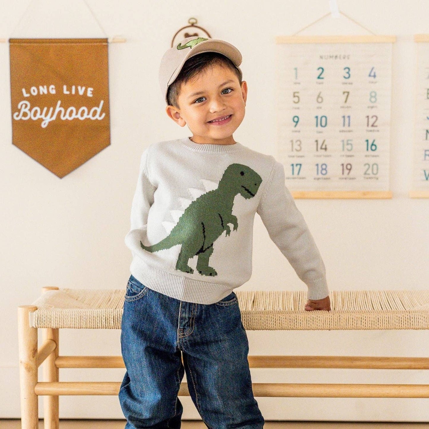 Dinosaur Sweater - Boys Clothing - Fall/Winter