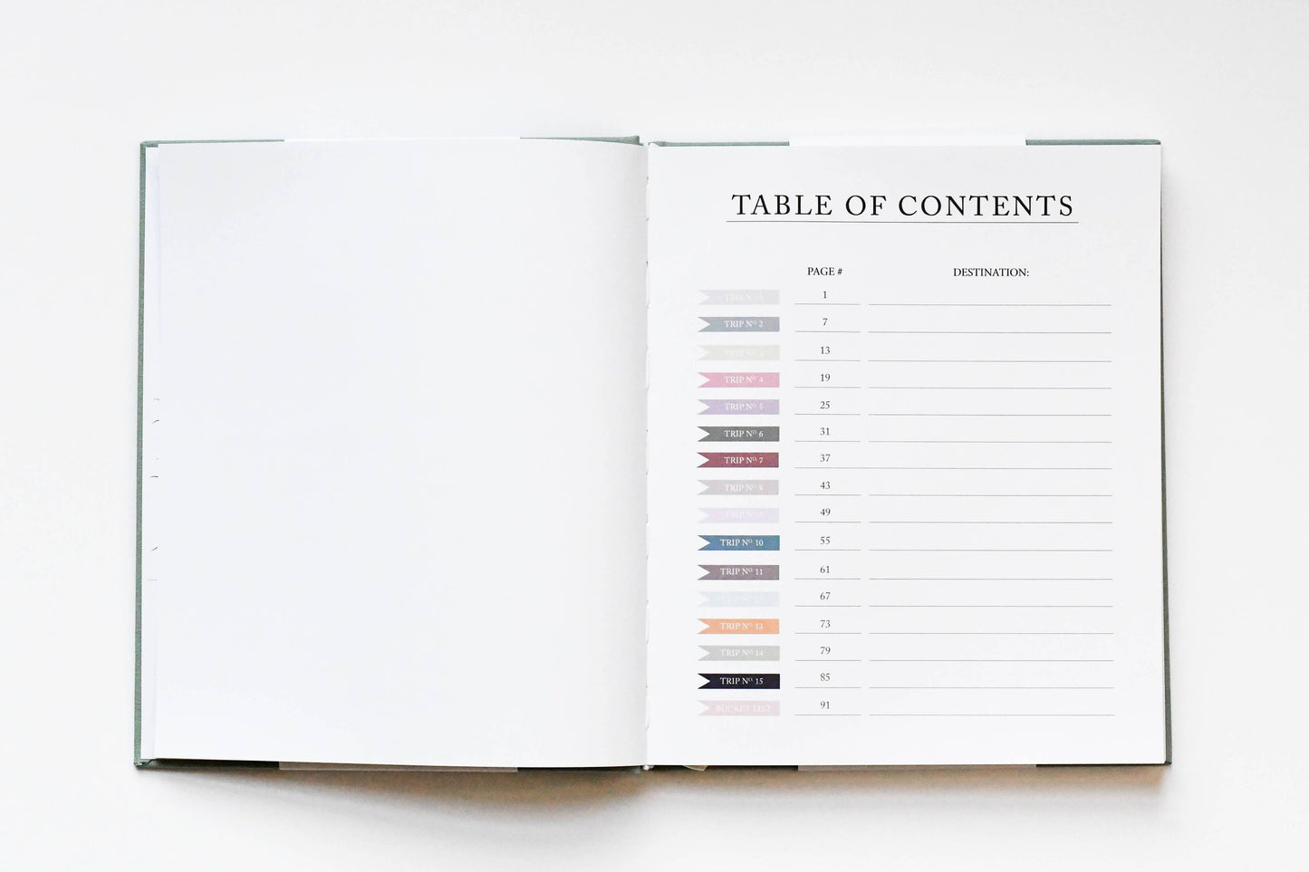 Travel Journal | Sage Green