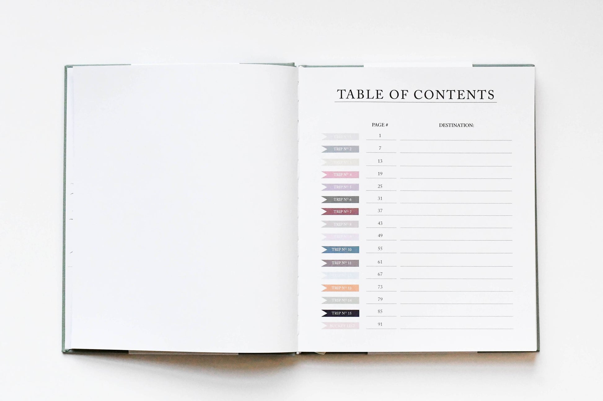 Travel Journal | Sage Green