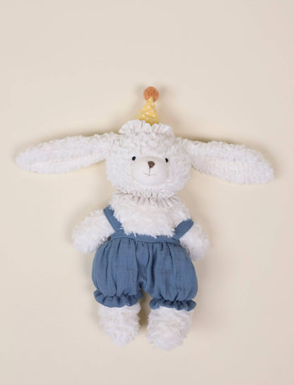 Dog Birthday Plush Toy