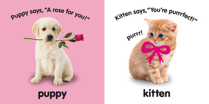 Baby Touch and Feel I Love You