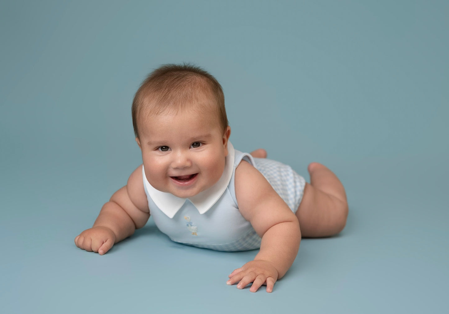 springtime goose - boy light blue gingham bubble w/ embroidery