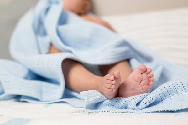 Cellular Blanket - Blue