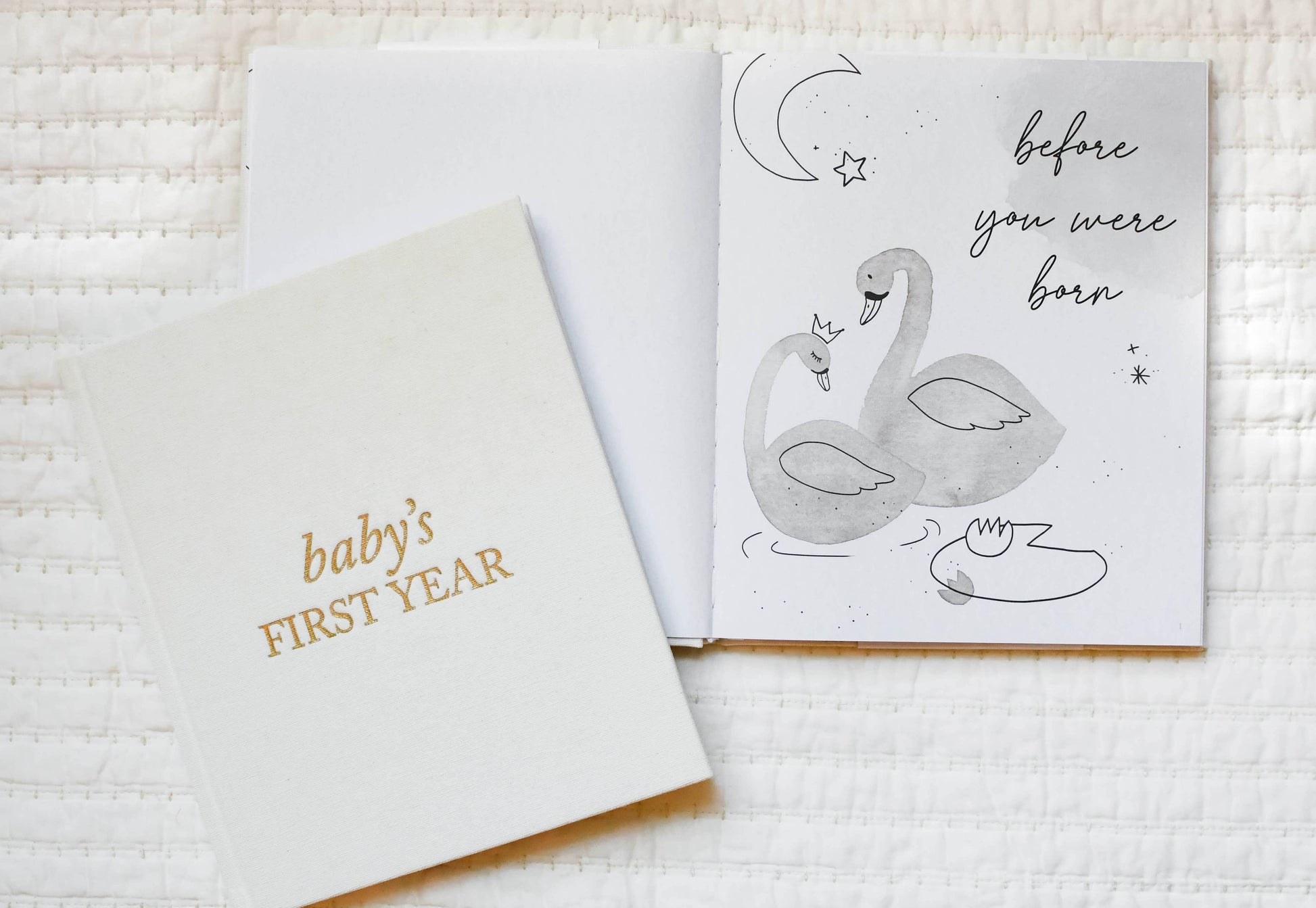 Baby's First Year Memory Book & Photo Album |  Dusty Rose