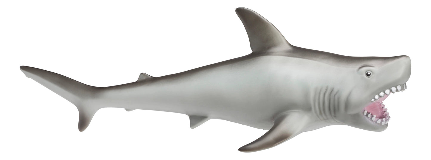 Epic Great White Shark