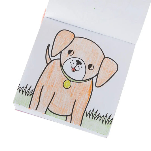 Carry Along Coloring Book & Crayons | Pet Pals