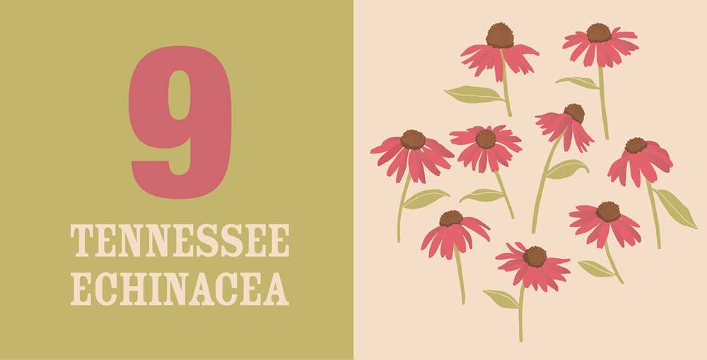 Count On Tennessee : Baby’s First Book About the Volunteer