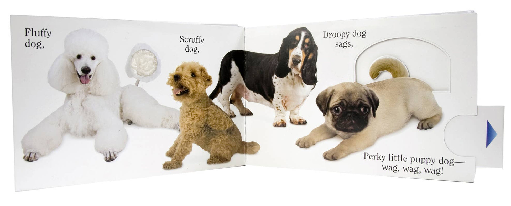 Dog by Matthew Van Fleet