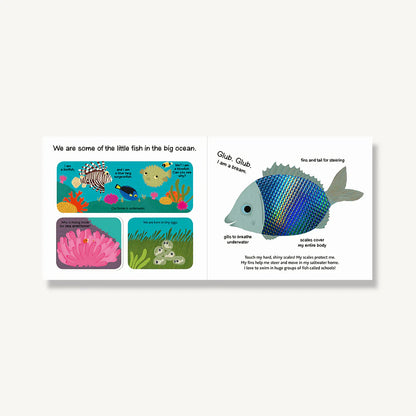 Touch and Explore : The Ocean