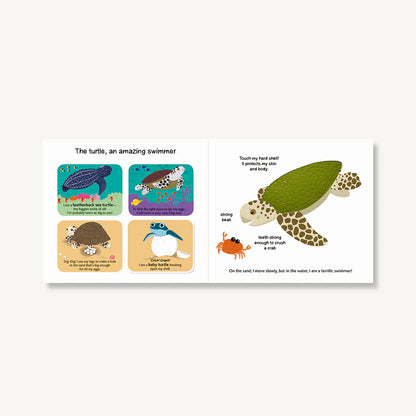 Touch and Explore : The Ocean